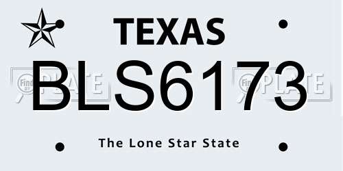 BLS6173 Texas License Plate