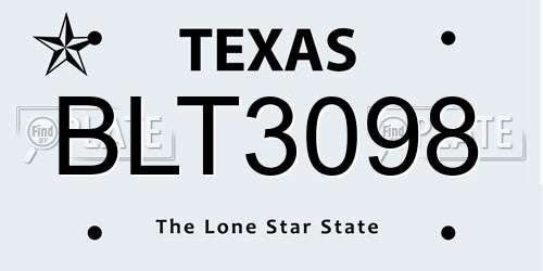 BLT3098 Texas License Plate