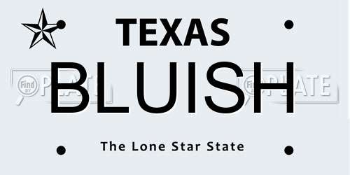 BLUISH Texas License Plate