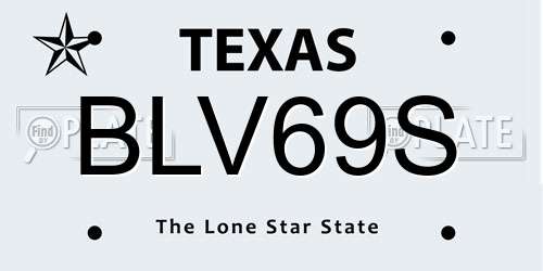 BLV69S Texas License Plate