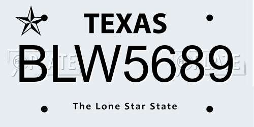 BLW5689 Texas License Plate