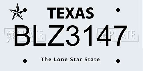 BLZ3147 Texas License Plate