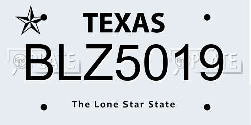 BLZ5019 Texas License Plate