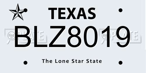 BLZ8019 Texas License Plate
