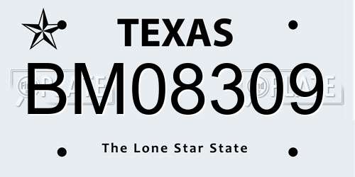 BM08309 Texas License Plate