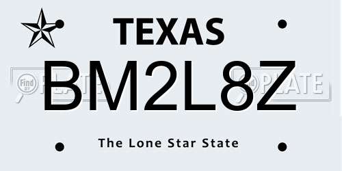 BM2L8Z Texas License Plate