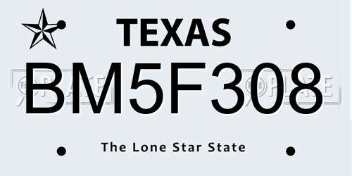 BM5F308 Texas License Plate