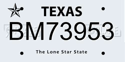 BM73953 Texas License Plate