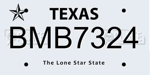 BMB7324 Texas License Plate