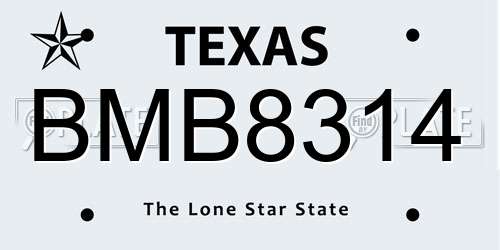 BMB8314 Texas License Plate