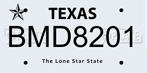 BMD8201 Texas License Plate