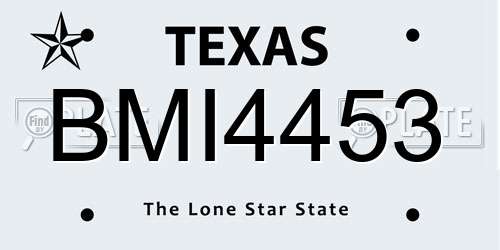 BMI4453 Texas License Plate