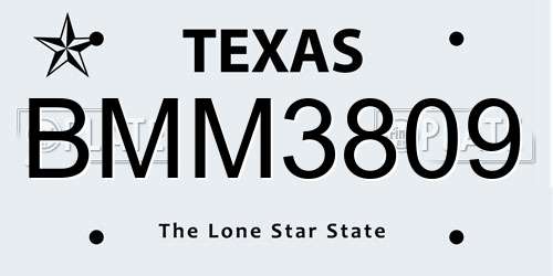 BMM3809 Texas License Plate