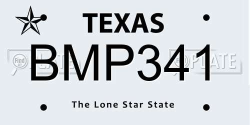 BMP341 Texas License Plate