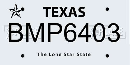 BMP6403 Texas License Plate