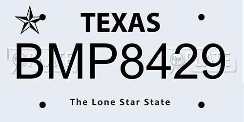BMP8429 Texas License Plate