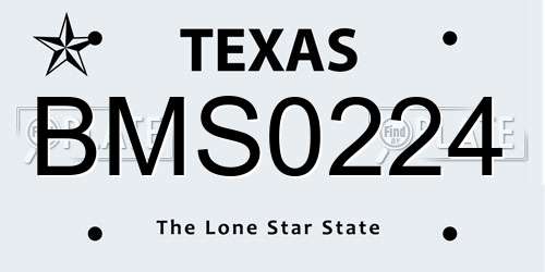 BMS0224 Texas License Plate