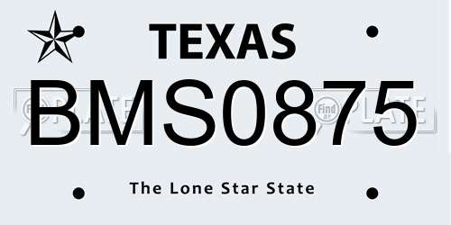 BMS0875 Texas License Plate