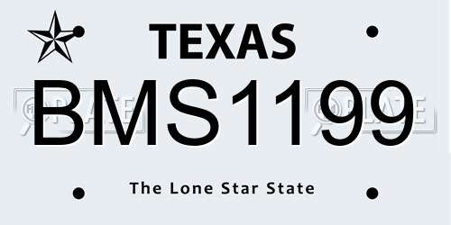BMS1199 Texas License Plate