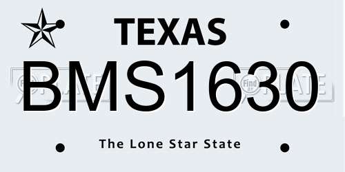 BMS1630 Texas License Plate