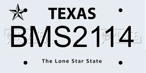BMS2114 Texas License Plate