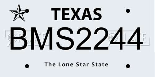 BMS2244 Texas License Plate