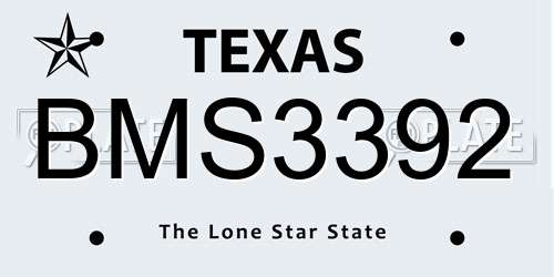 BMS3392 Texas License Plate