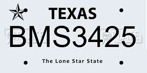 BMS3425 Texas License Plate
