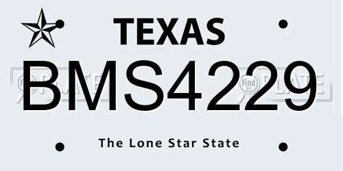 BMS4229 Texas License Plate