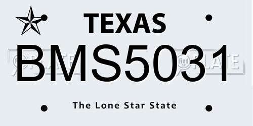 BMS5031 Texas License Plate
