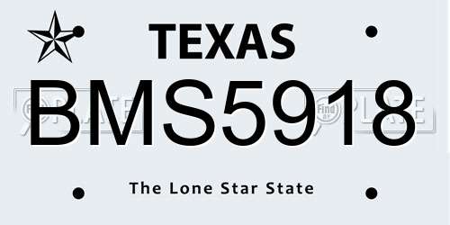 BMS5918 Texas License Plate