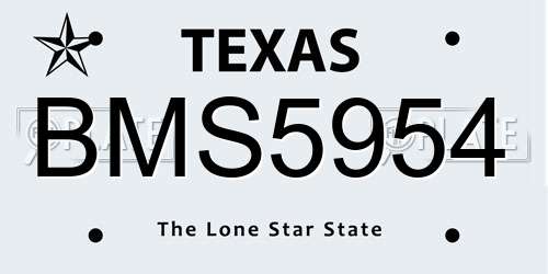 BMS5954 Texas License Plate