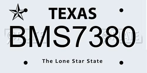 BMS7380 Texas License Plate