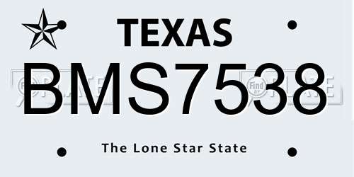 BMS7538 Texas License Plate