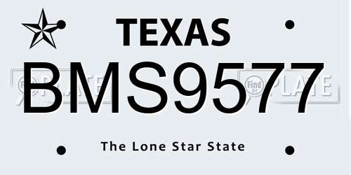 BMS9577 Texas License Plate