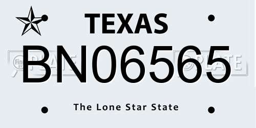 BN06565 Texas License Plate