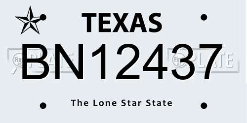 BN12437 Texas License Plate