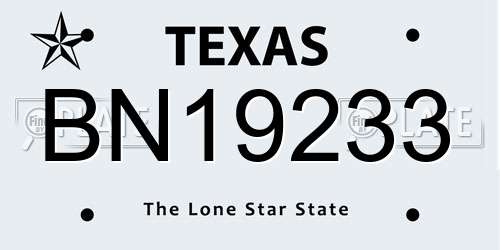 BN19233 Texas License Plate