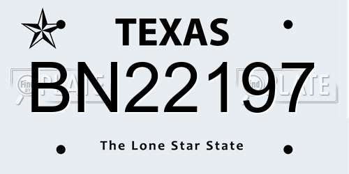 BN22197 Texas License Plate