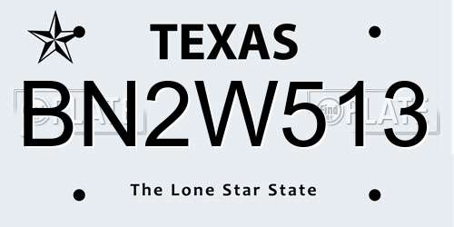 BN2W513 Texas License Plate
