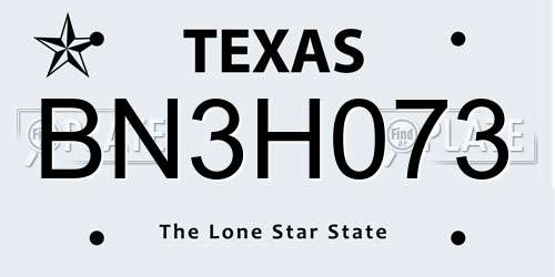 BN3H073 Texas License Plate