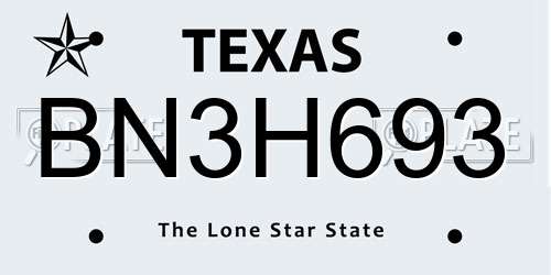BN3H693 Texas License Plate