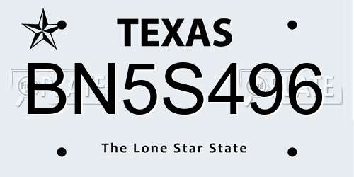 BN5S496 Texas License Plate