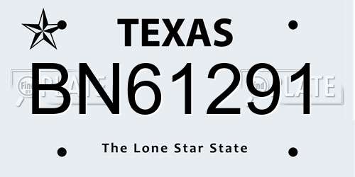 BN61291 Texas License Plate