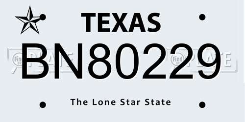 BN80229 Texas License Plate