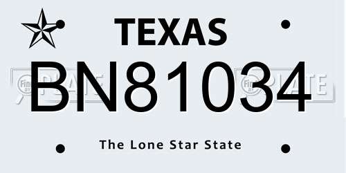 BN81034 Texas License Plate