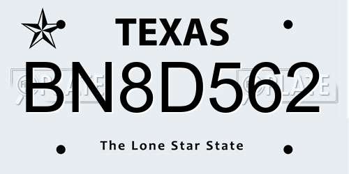 BN8D562 Texas License Plate