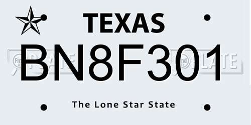 BN8F301 Texas License Plate