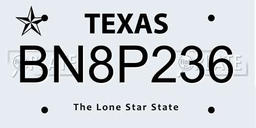 BN8P236 Texas License Plate