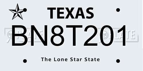BN8T201 Texas License Plate